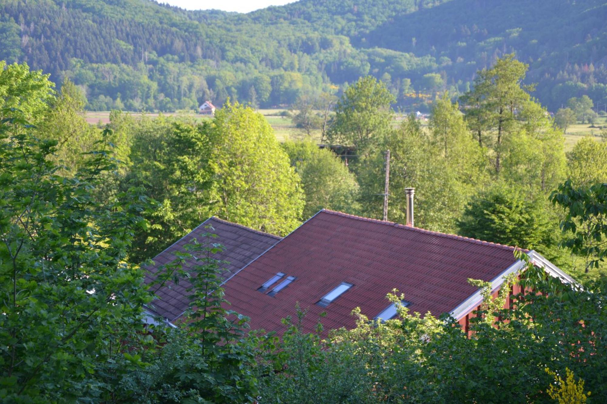 Chalet Des Aigrettes, Les 1000 Etangs La Voivre  Ngoại thất bức ảnh
